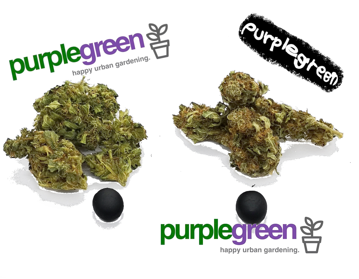 Das purple green Set für Liebhaber der guten Ware!